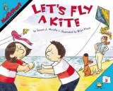 Fly kite